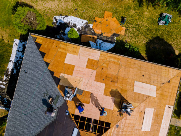 Best Roof Maintenance Services  in Pinole, CA